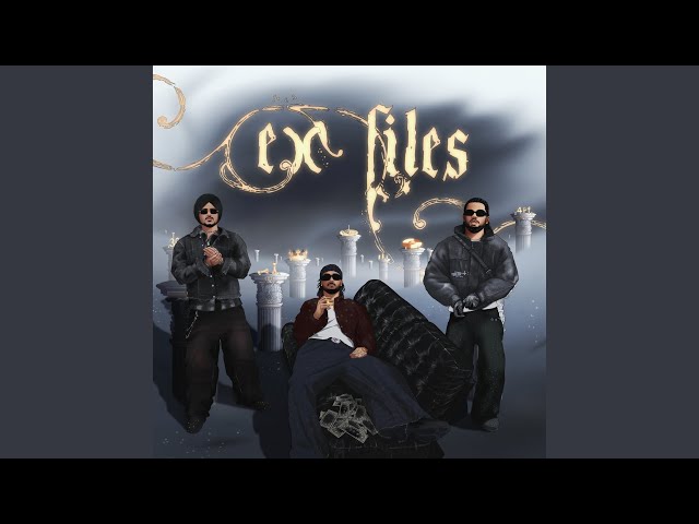 EX-FILES