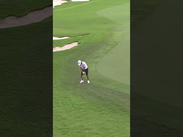 Reacting to the fastest grass of all time 😅😅￼