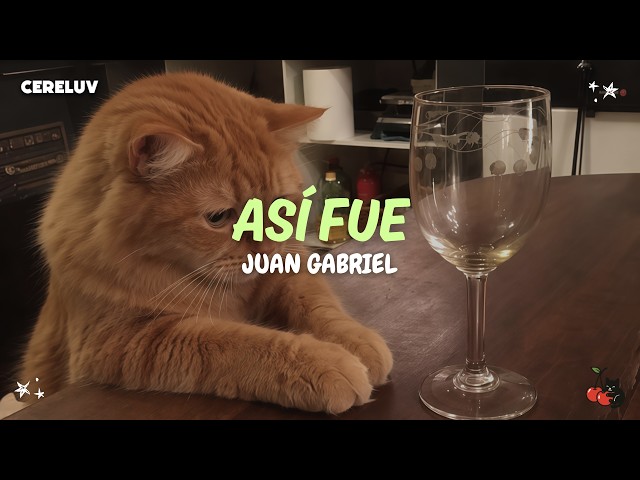 Juan Gabriel - Así Fue (Letra)