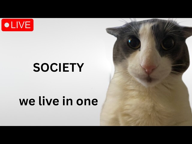 🔴SOCIETY STREAM 1🔴 eyes