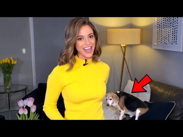 Best News Bloopers 2020