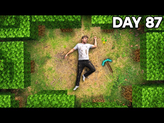 I Survived 100 Days In Realistic Minecraft