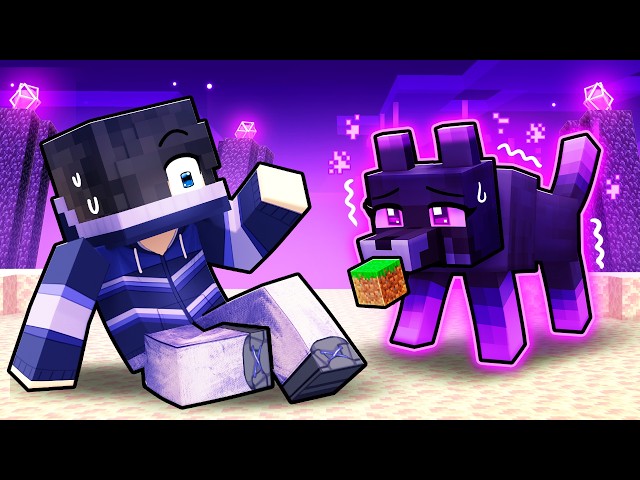 Playing as a HELPFUL ENDER WOLF!