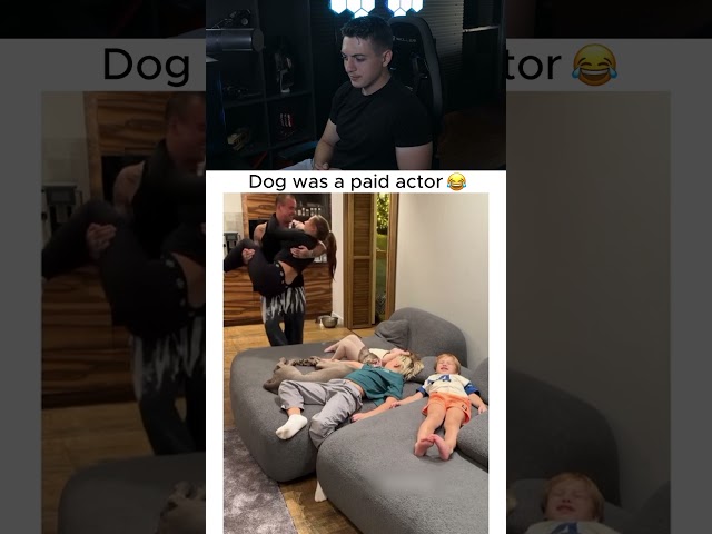 Dog was a paid actor 😂