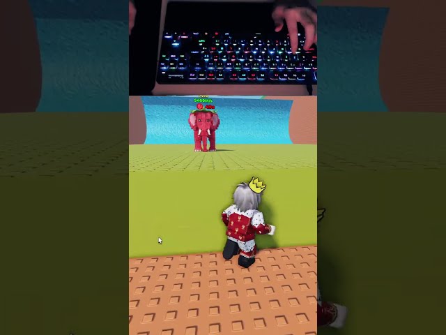 roblox best gameplay