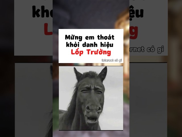 Chúc mừng em 🤣🤣 #threads #shorts #funny #comment