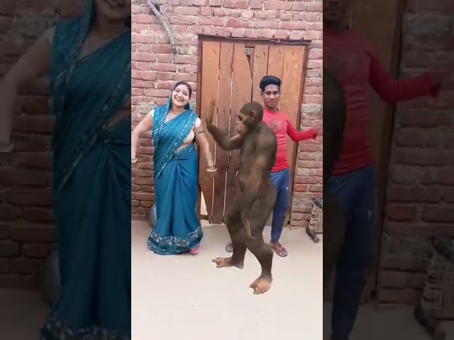 Monkey ke sath dance by you #shorts #trending #viral