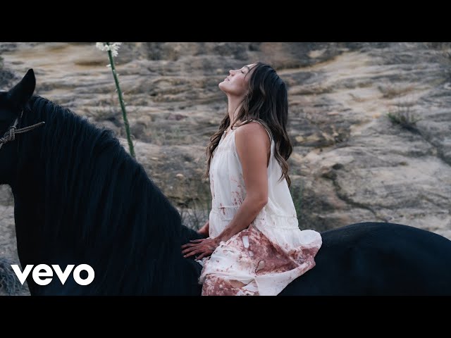Alyssa Grace - bloodstream (Official Music Video)