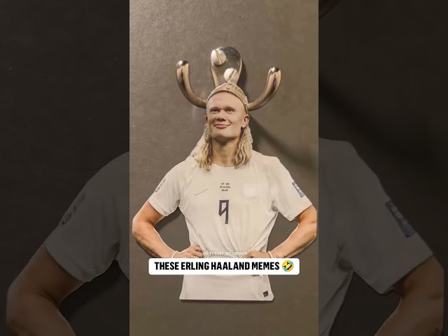 Erling Haaland has made his way into everyday life
