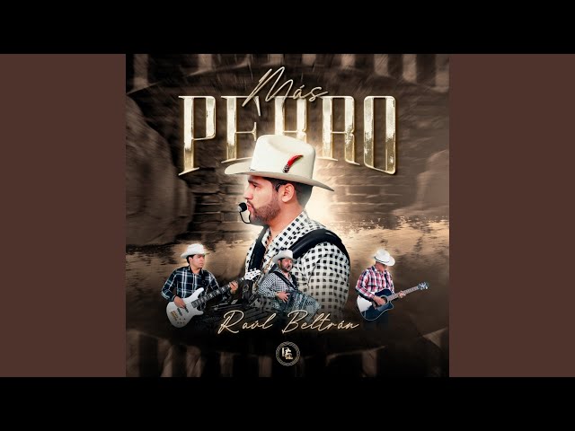 MAS PERRO