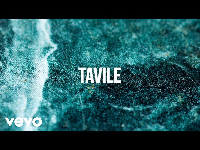 Sean Rii, Jenieo, Sharzkii - Tavile (Visualiser)
