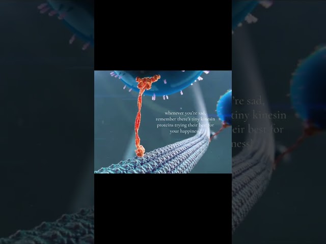 It’s trying its best😭#fyp #shortsviral #shorts #tiktok #science #viral #viralshorts #trend 