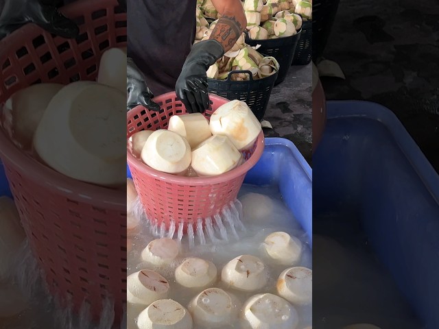Amazing Coconut Packing Process! Big Scale Coconut Factory, Thailand #shorts