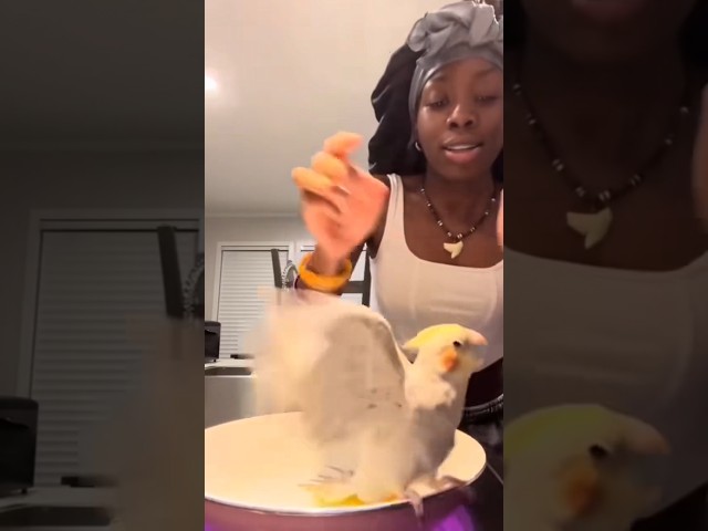 COOKING FAILS 1 🤣🍽    #shorts