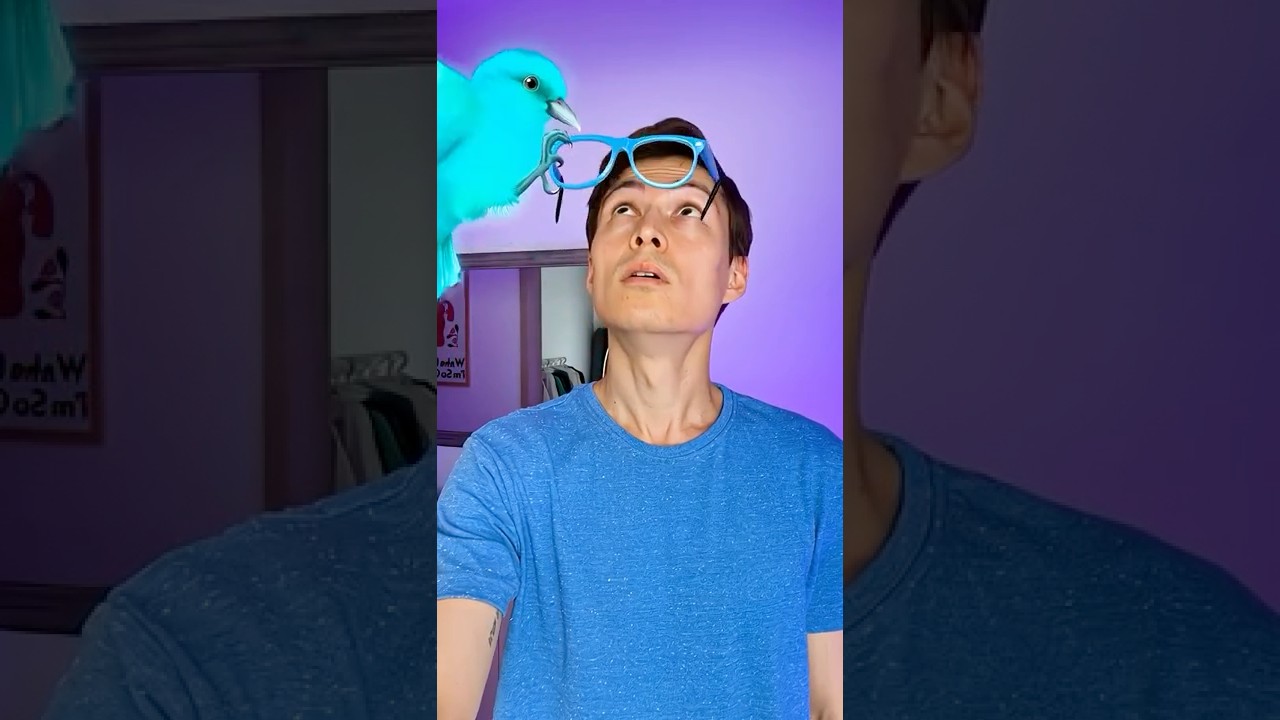 ❓CAN YOU MAKE SUNGLASSES from CARDBOARD? 🕶️ #shorts #funny