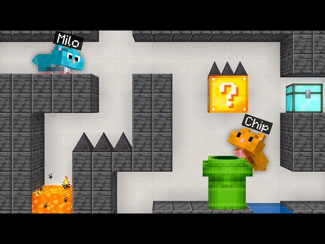 We Become HAMSTERS Trapped in a MAZE in Minecraft!