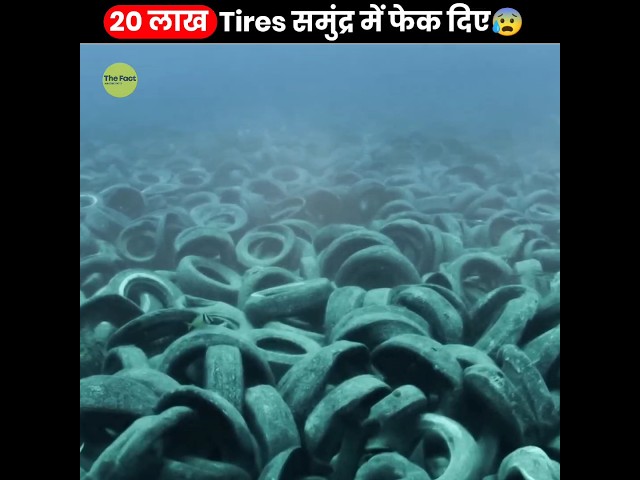 20 लाख Tires समुंद्र में फेक दिए 😨 | When Florida Dumped 2 Million Tires In Ocean | #shorts #thefact