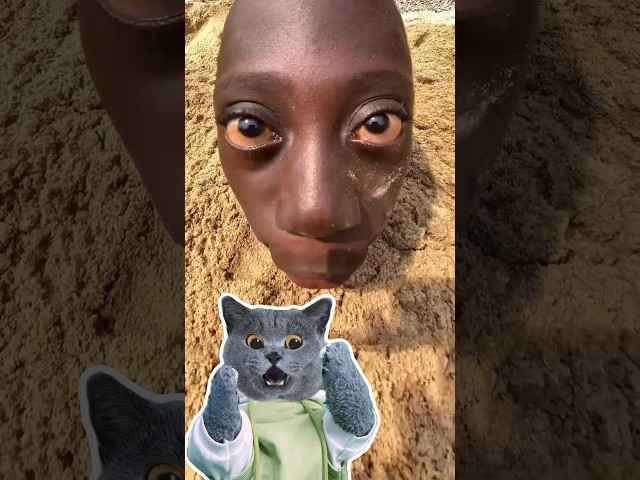 😲How I Caught The Football With A Thrill?🏈|Tenge 🇺🇬🇳🇬 #funnycat #catmemes #trending
