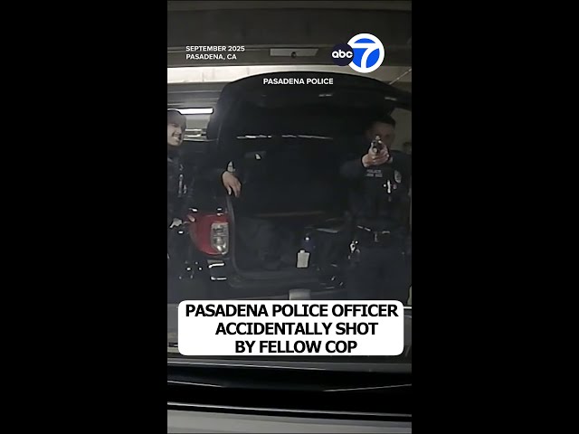 Pasadena police officer accidentally shot by fellow cop