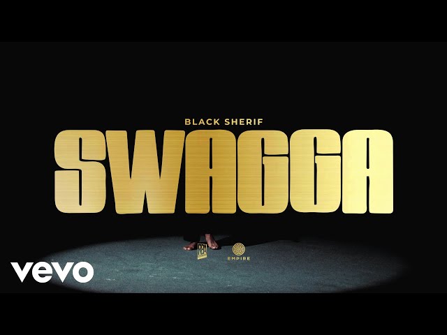 Black Sherif - SWAGGA (Official Visualizer)