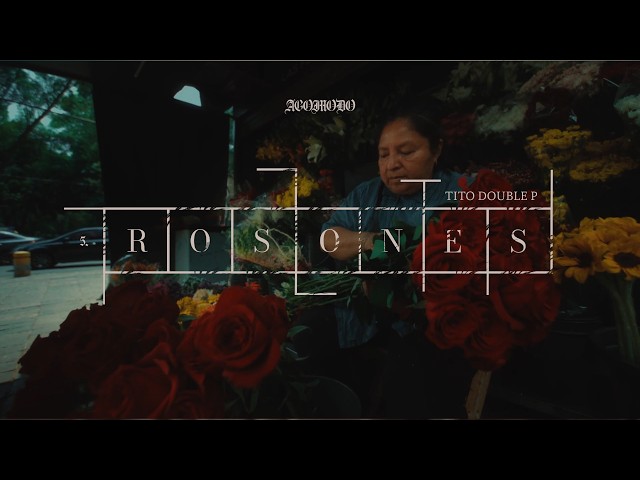 ROSONES - Tito Double P (Visualizer)