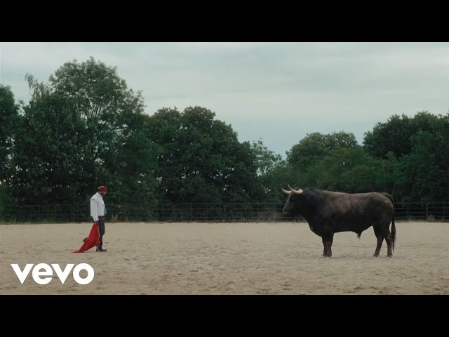 Asake - MCBH (Official Video)