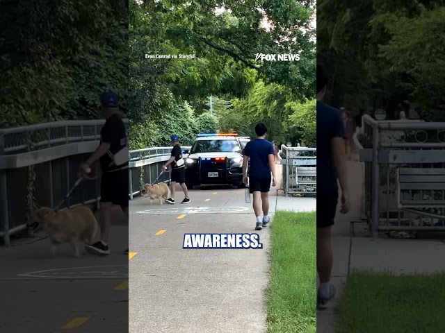 WATCH: Police officer couldn't resist poking fun at an oblivious dog walker