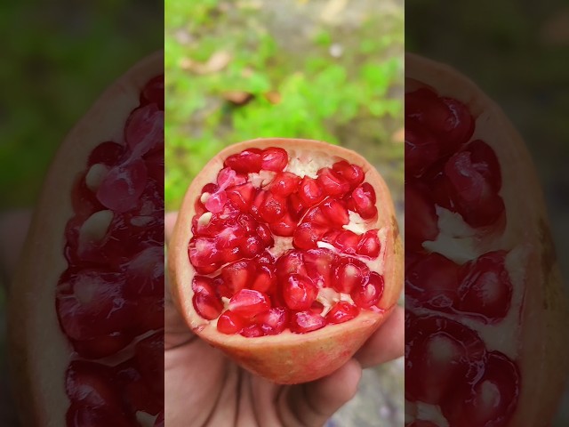 Pomegranate 🍑🤣 | #shorts  #viral #funny #trending #viralshorts #ytshorts