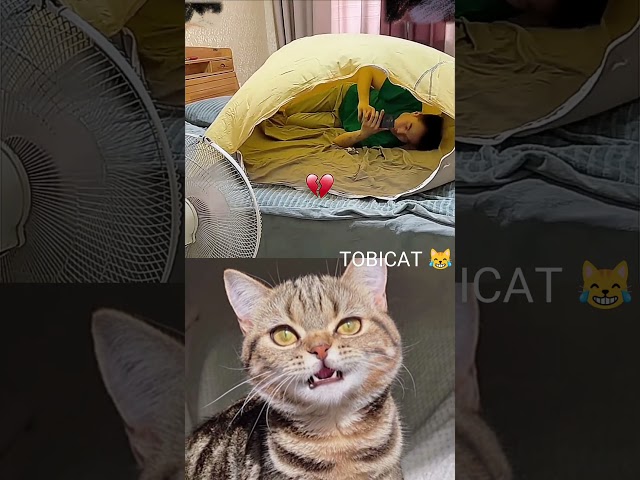 🤣 #funny #shorts #viral