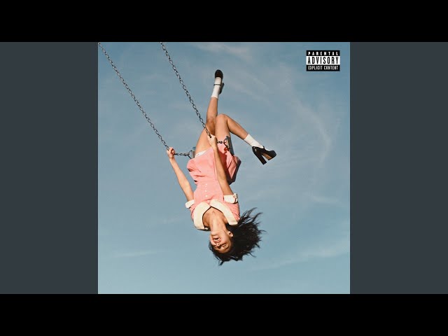 stupid song