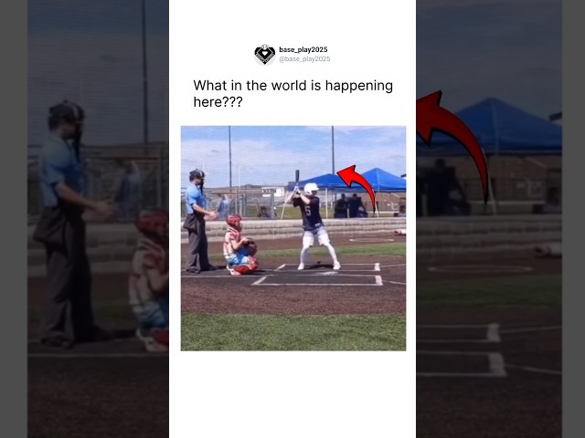 what in the world is happening here 😂 #baseball #usa