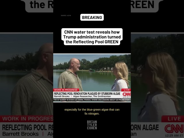 CNN water test reveals how Trump administration turned the Reflecting Pool GREEN