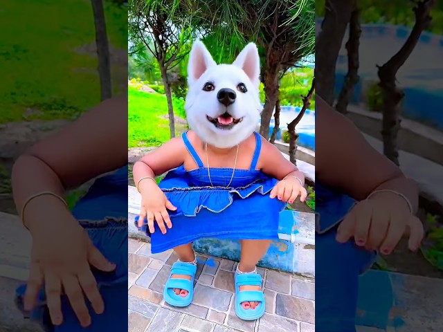 Ye puppy and Pummy papa 🤗🤪🤣 #shorts #funny #trending #viralvideo