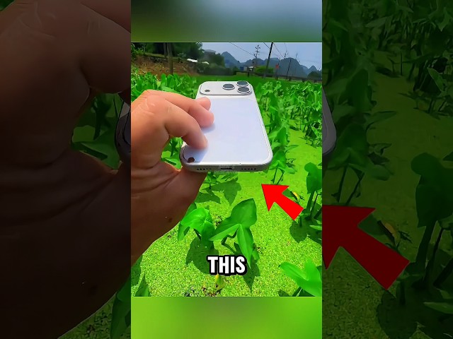 iPhone 17 Pro Max Camera Test #shorts