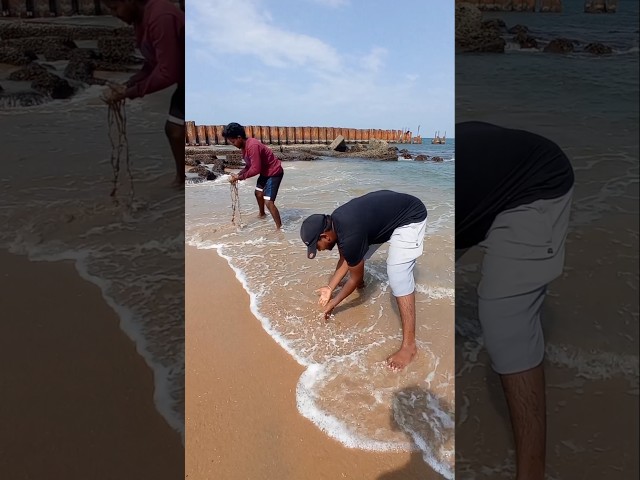 Unbelievable Catch with EMPTY Hand. #fishing #fishingvideos #thoondilulagam #seafishing