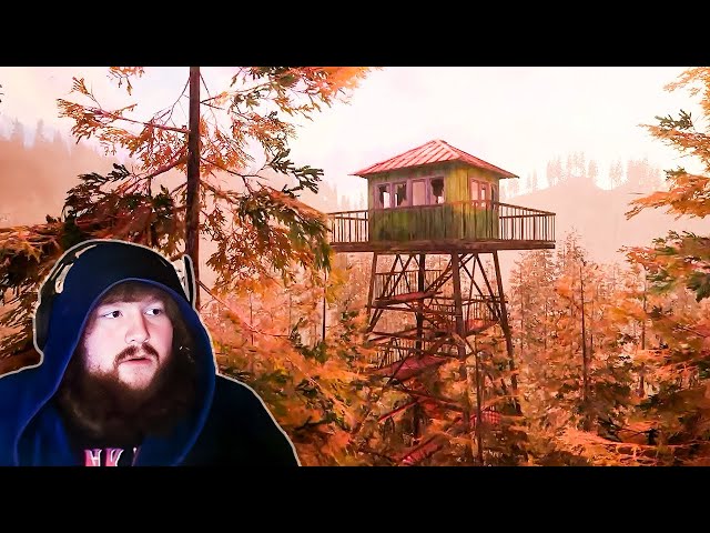 Forest Lookout…