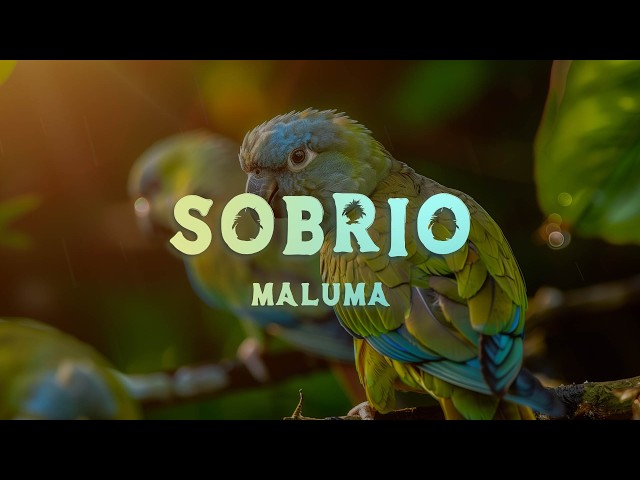 Maluma - Sobrio (Lyrics/Letra)