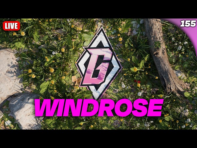 🌸Chill Vibes | Windrose🌸