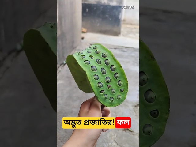 পৃথিবীর আজব ফল 😲 Amazing Fruits #shorts