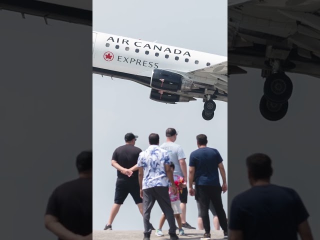 Ex-Air Canada pilot flew with forged licence: police