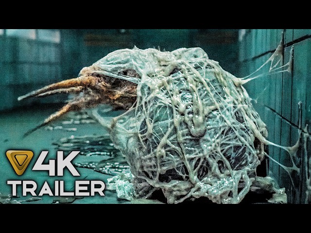 The Best Upcoming Movies 2026 & 2027 (4K Trailers)