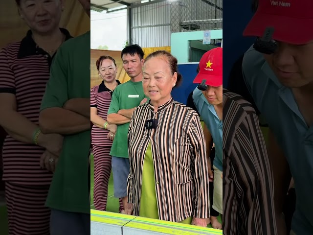 Chặt trái cây liên hoàn #mytao #funny #giaitri #haihuoc #shorts #viral #windnet