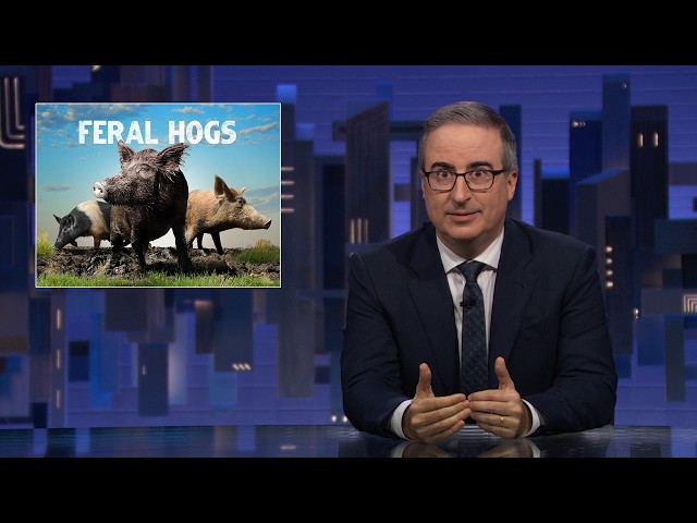 Feral Hogs: Last Week Tonight with John Oliver (HBO)