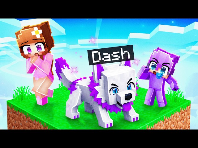 I Pretended to be a BABY WOLF in ONE CHUNK in Minecraft!