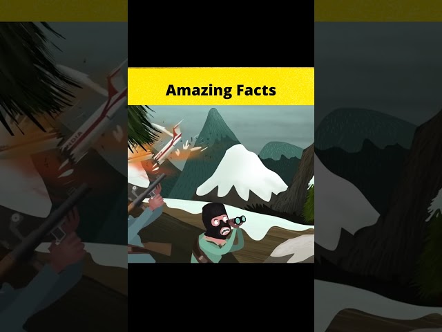 Top 3 Amazing facts and stories 🤣🤣😮 @MRINDIANHACKER  @CrazyXYZ  || #shorts || #FactBeast