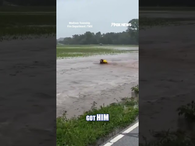 WATCH: A fire captain jumped into rushing floodwaters to save a baby deer