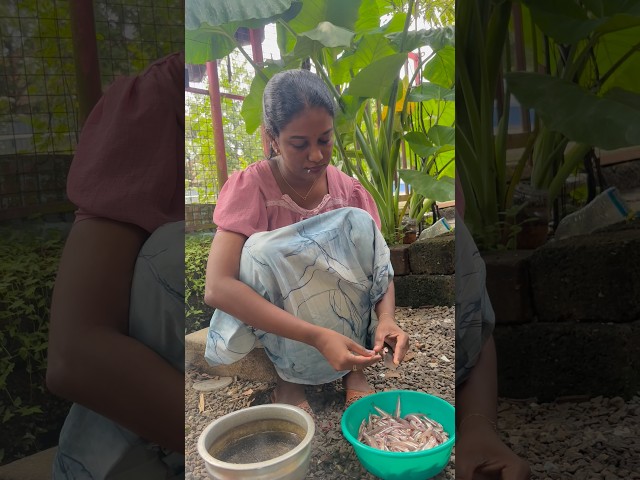 വലയിട്ടിട് മീൻ കിട്ടണില്ല 🐟🥲😱ARCHANA DEV #shorts #viral #trending #archanadev #art #youtubeshorts