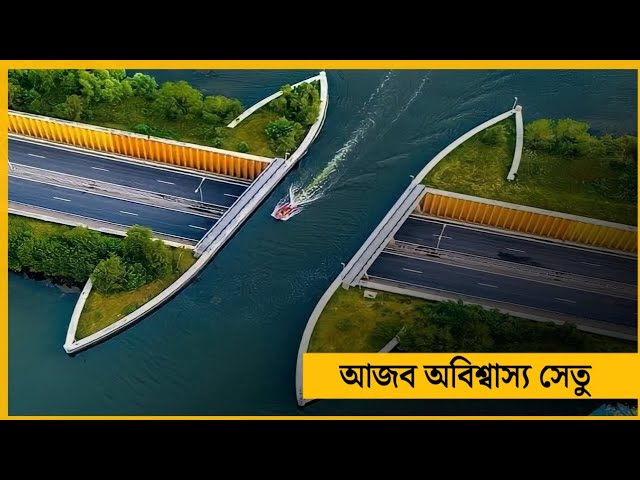 আজব অবিশ্বাস্য ব্রিজ | Research Bangla | মায়াজাল | mayajaal #shorts