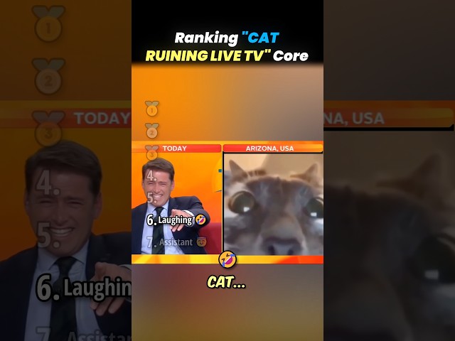 Ranking TOP CATS RUINING LIVE TV Core Moments!! 🐱📺