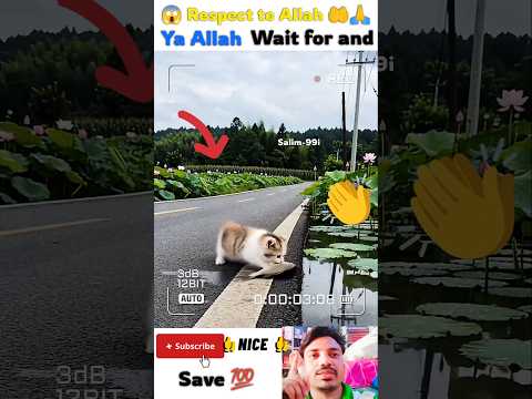 mashallah 🤲😇 respect 😍#allah​ #status​ #short​ #shorts​